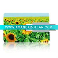 Wholesale Popular plastic usb credit card