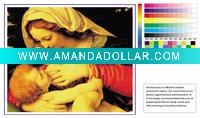 cotton canvas(matt,waterproof,coated,260gsm)