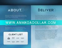 Embossing Bi-folded Brochure Printing with Custom Service