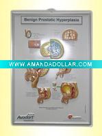 Wholesale 3D embossing medical poster