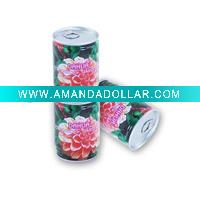 Wholesale Novelty plant in tin