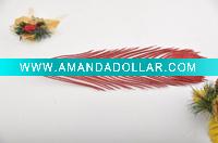 Native xmas gift in 2011