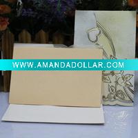 handmade invitations/wedding cards/Christmas Cards/wedding gift/wedding decorate/greeting card -- T169