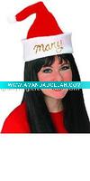hat,Personalized Santa Hat