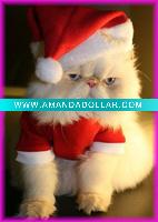 embroidery santa hat