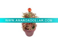 Wholesale mini christmas tree in the pot