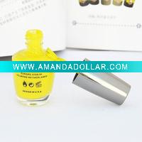 Wholesale OEM Nail Design Paint Polish