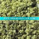 oolong tea powder
