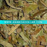 Wholesale loquat leaf slice/cut/powder/PE