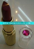cosmetic waterproof lipstick