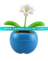 flip flap plant