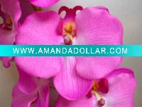 Wholesale orchid silk flower (27539)
