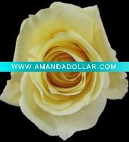 Wholesale Fashion Silk & Preserved flower