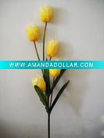 Tulip