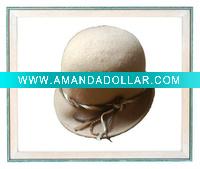 Wholesale Ladies 100% wool felt hat