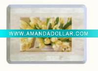 11-18'' Promotioanal Tray