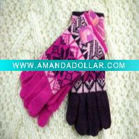 Fashion Ladies' Acrylic Embroidered Winter Glove