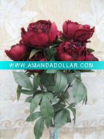 Rose bush