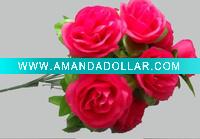 Wholesale best rose