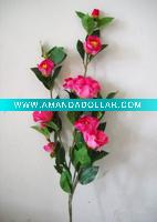rose flower
