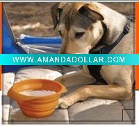 silicone animal products