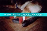 neoprene dog shoes