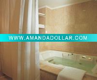 bath curtain