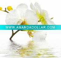 flat screen printing polyester hookless shower curtain
