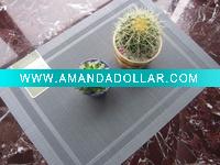 PVC woven placemat
