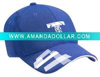 Wholesale baseball /sports cap/fashion hat