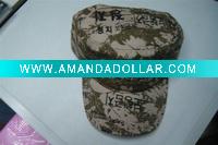 2011 New Promotional Caps,Advertising caps,Sport hats