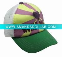 2010 sport hats