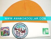 Wholesale embroidery knitted sports hat & cap