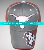 embroidered 100%cotton baseball hat