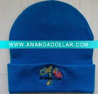 blue Embroidered Knit Hat