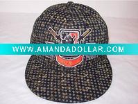 2010 Fashion Sports Cap Hot USA