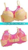 bra drying hanger/bra protector