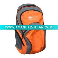 2010 new school bag