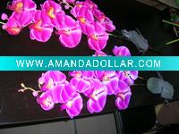 Wholesale flower