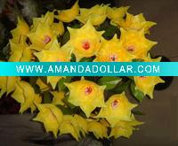 vivid artificial silk flowers