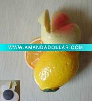 Fruit resin Fridge Magnet