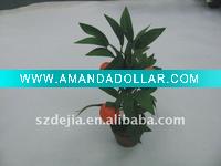 Wholesale Hot sell Bonsai Plant, little fruit bonsai for home decoration