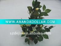 Wholesale Hot sell Bonsai Plant fruit bonsai tree plant