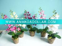 Wholesale silk flower phalaenopsis in the pot