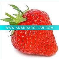 Artificial Strawberry Fruit