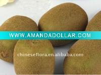 artificial kiwi fruit for decoration