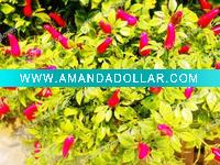 Wholesale Artificial flower/Artificial Plant-Decorative chilli plant