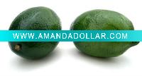 Wholesale Decorative Artificial Foam lime Fruits ---- Factory Directly