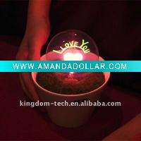 2012 NEW Romantic Artificial grass potted plants night light