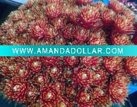artificial plant manufacturer